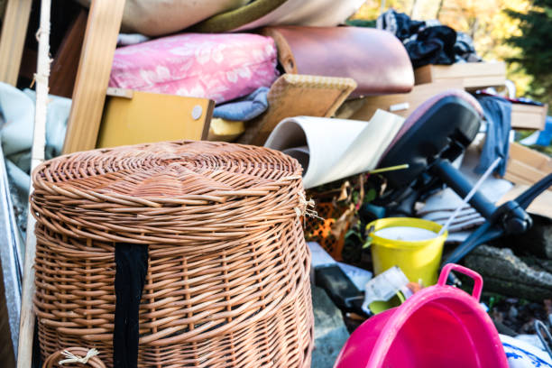 Best Household Junk Removal  in Lutz, FL